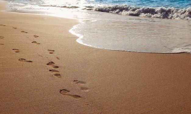 InnerS­mile online SommerSpecial