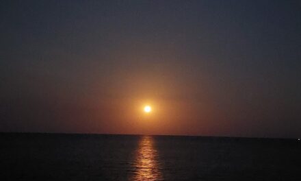 Werde die entspannte Frau – Becoming