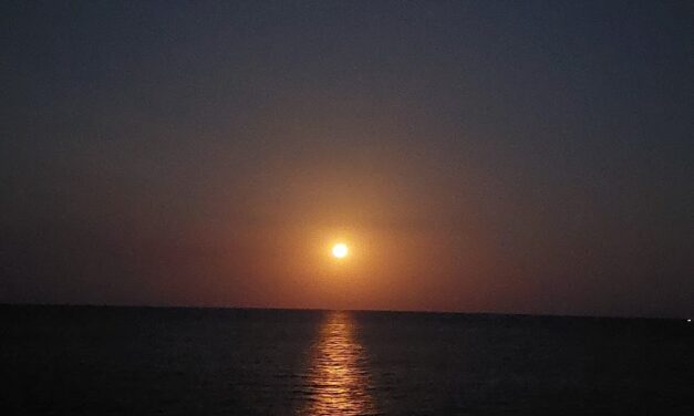 Werde die entspannte Frau – Becoming